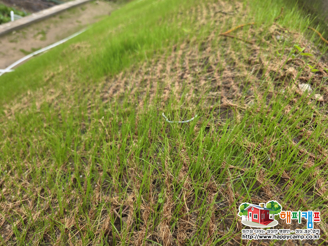 37b62e51c2c54dd06ec7a95b7541214d_1762137606_1391.jpg 37b62e51c2c54dd06ec7a95b7541214d_1762137606_1391.jpg